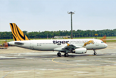 TIGER AIRWAYS: MOVING THE MASSES (2003)